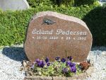 Erland Pedersen.JPG